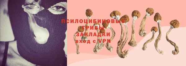 экстази Белокуриха