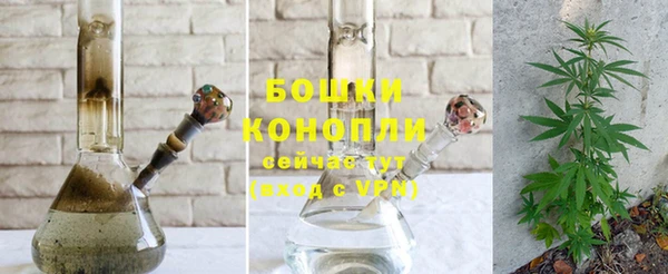экстази Белокуриха