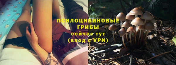 экстази Белокуриха