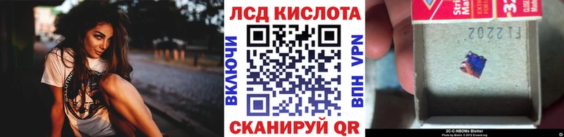 наркота  mega ССЫЛКА  Наркотические марки 1500мкг  Свободный 